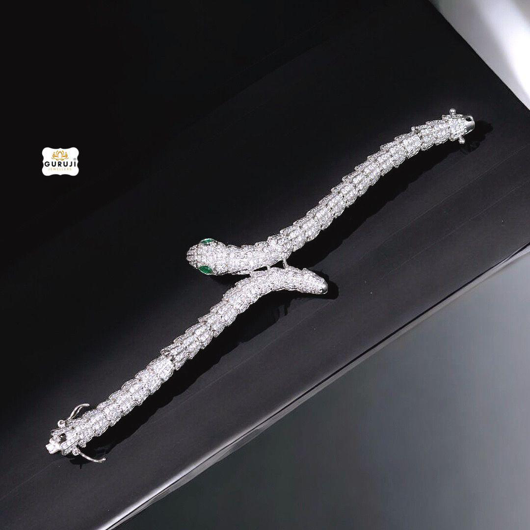 WhatsApp Image 2025-01-21 at 4.42.55 PM